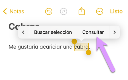 cinco cosas que olvidaste al bloquear el iPhone de tus hijos: resalta una palabra y pulsa 'Consultar'