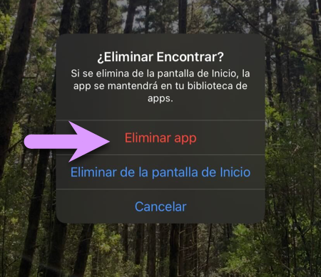 Bloquear un iPhone: confirmar la eliminación de una aplicación