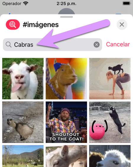 lo que olvidaste al bloquear el iPhone de tu hijo: gifs animados con función de búsqueda a los que tu hijo debería tener acceso