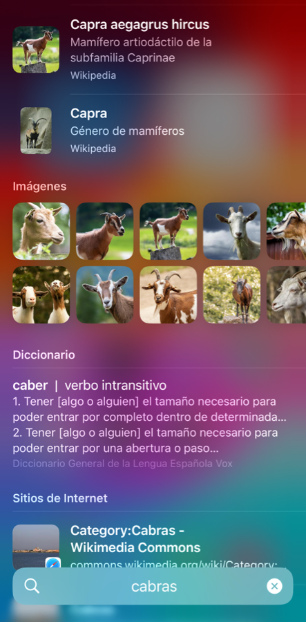 cinco cosas que olvidaste al bloquear el iPhone de tus hijos: la búsqueda de Spotlight en iOS por defecto puede cargar y mostrar imágenes de la web