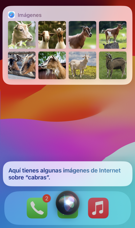 Un ejemplo de imágenes encontradas preguntando a Siri