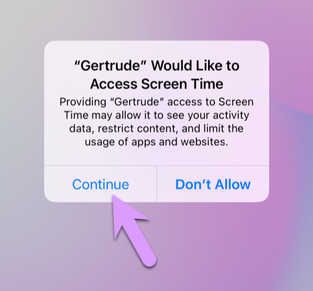 Click 'Continue' to allow access to Screen Time