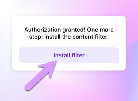 Almost there, click 'Install Filter'