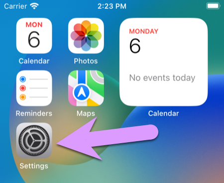 locking down an iPhone: the main Settings app